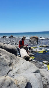 Sitting alone in the Lost Coast Trail
