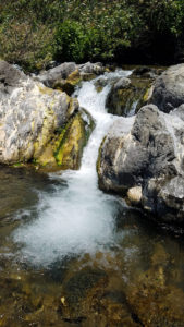 Stream along Lost Coast Trail