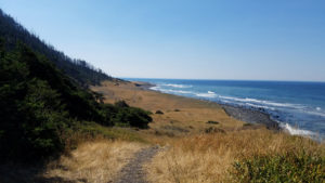 Dried grass beside the sea on the Lost Coast Trail