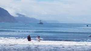Children playing in the seashore on Lost Coast Trail