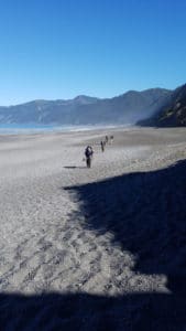 Campers of Lost Coast Adventure Tours hiking the Lost Coast Trail