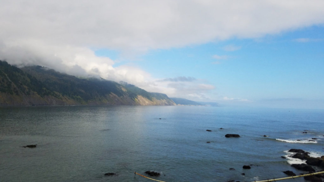 Cloudy day in Lost Coast Trail