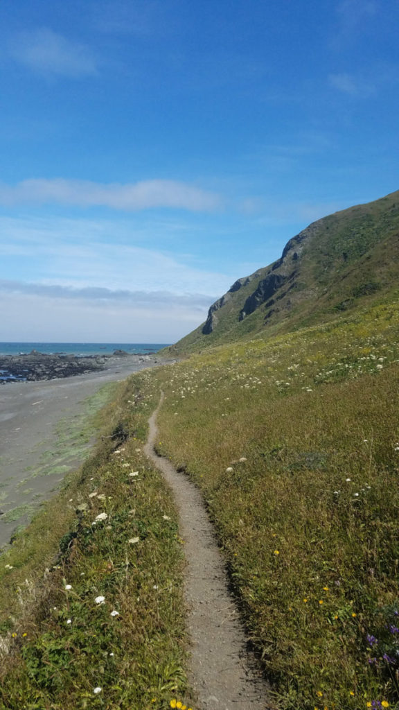 Pathway to Lost Coast Adventure Tours