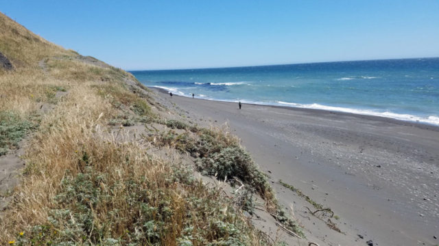 Hiking with the Lost Coast Adventure Tours