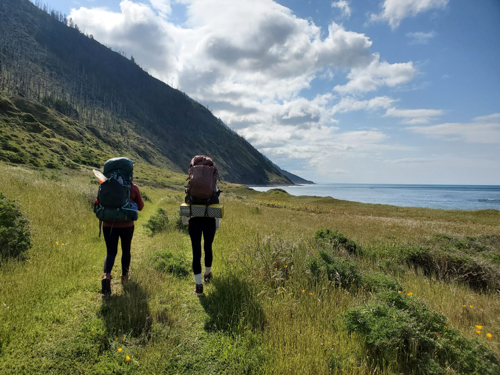 Hikers walking on the trail with green grass surrounding the field and the ocean to their right side