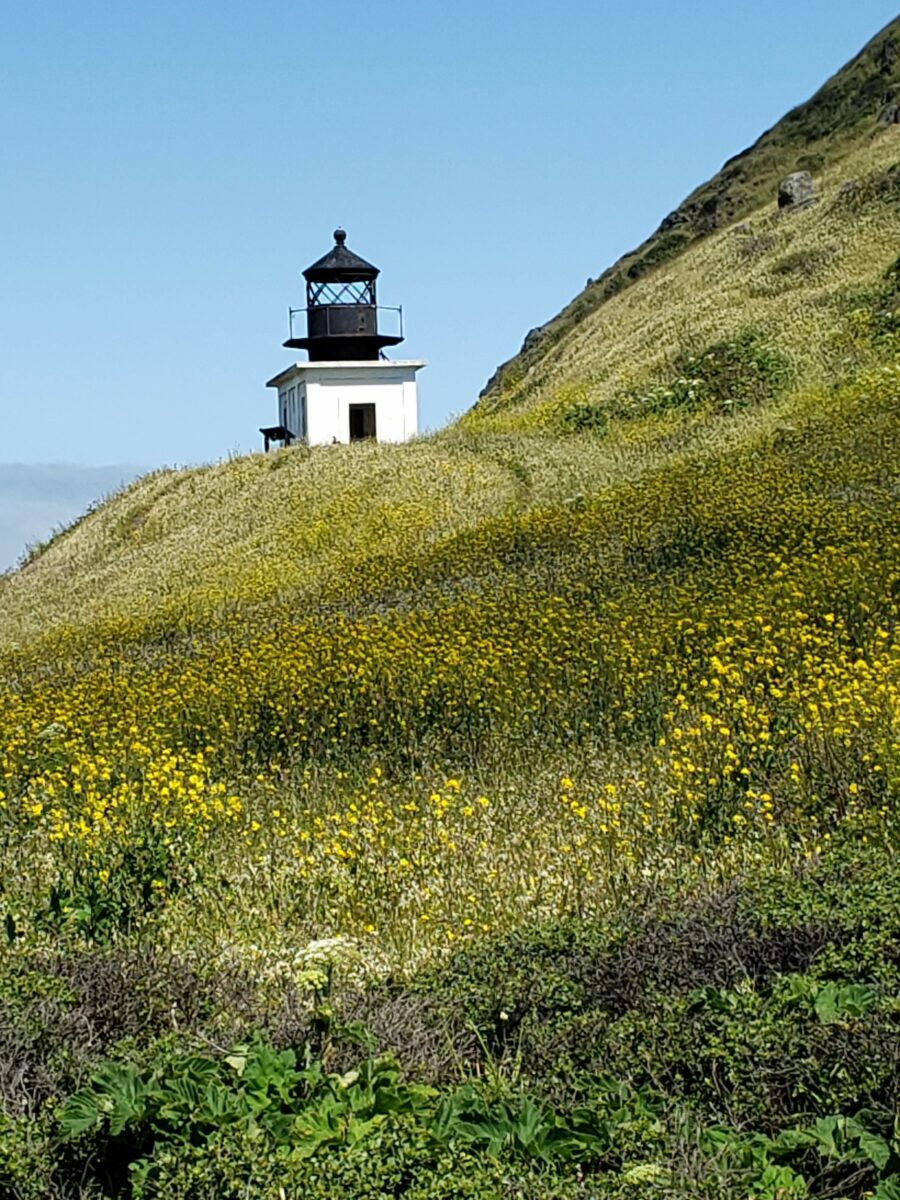 Petrolia Beach lighthouse